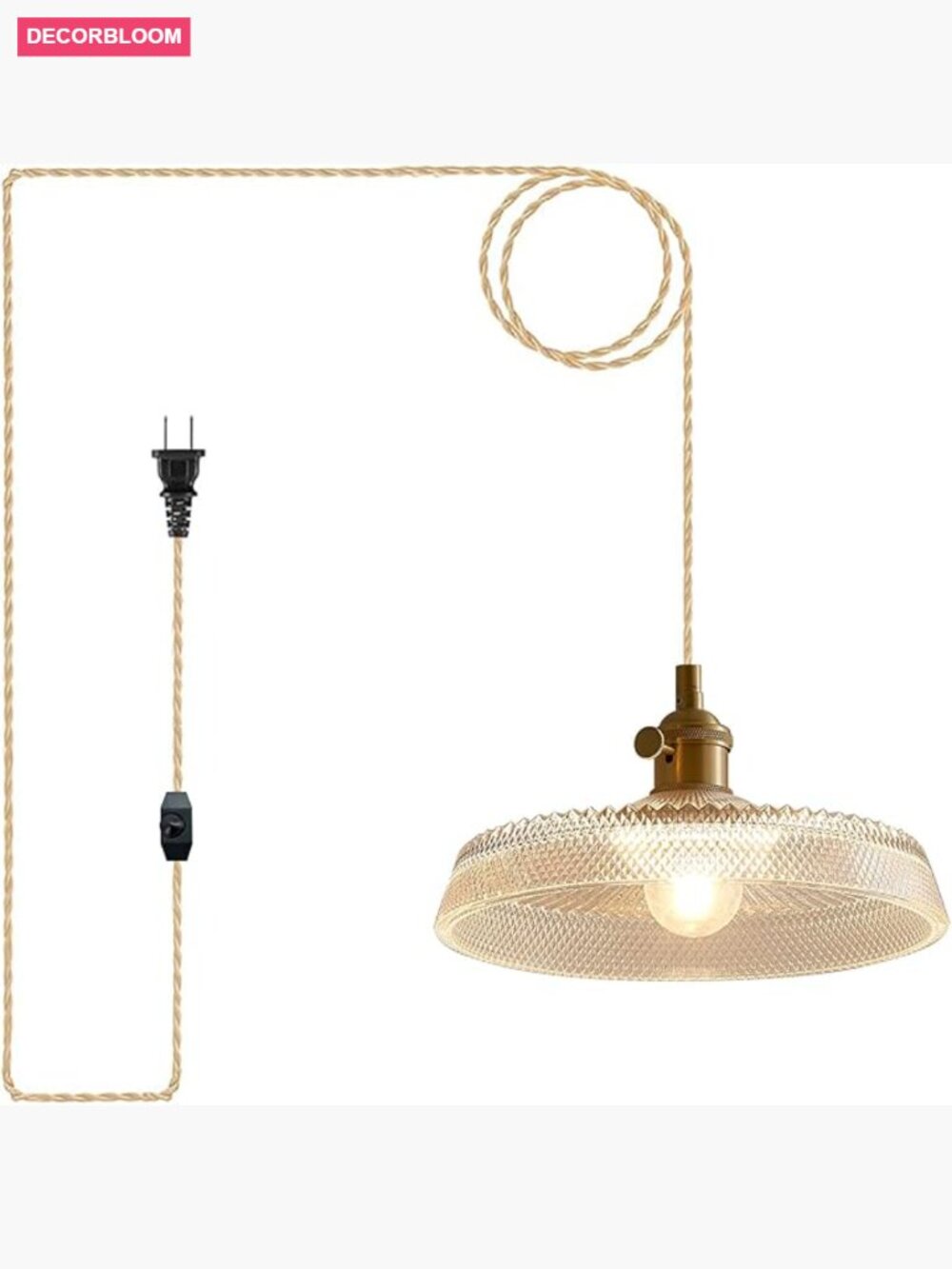 Plug In Pendant Light 14Ft Cord Glass Lampshade On Off Switch Industrial